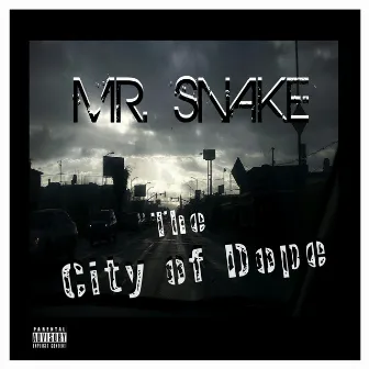 The City of Dope by Mr. Snake