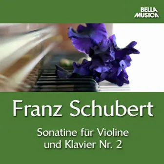 Schubert: Sonatine No. 2 - Trio No. 1 by Fortepianotrio Florestan