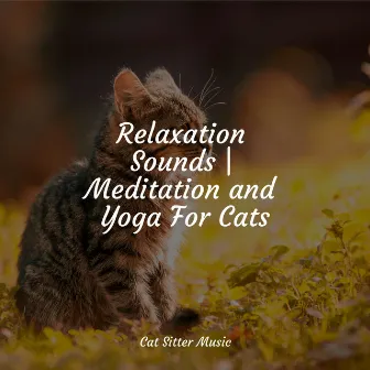 Relaxation Sounds | Meditation and Yoga For Cats by Music for Resting Cats