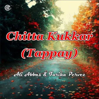 Chitta Kukkar (Tappay) [Live] by Ali Abbas