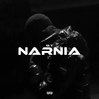 NARNIA by S.T