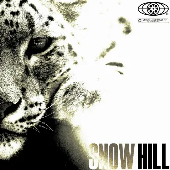 SNOW HILL by Mighty Bat