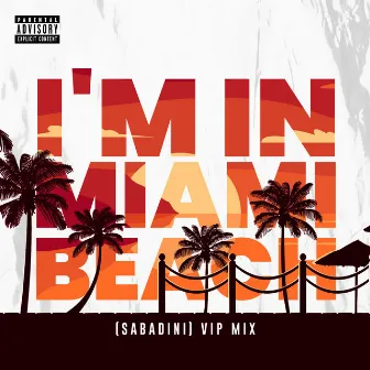 I'm in Miami Bitch (Vip Mix) by Sabadini