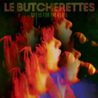 Cry Is for the Flies by Le Butcherettes