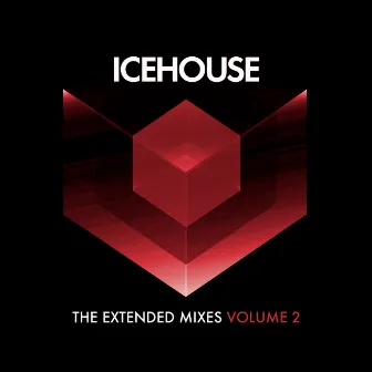 The Extended Mixes Vol. 2 by ICEHOUSE