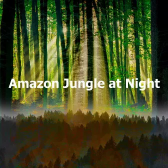 Amazon Jungle at Night by Forest