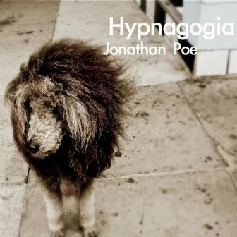 Hypnagogia by Jonathan Poe