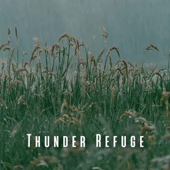 Thunder Refuge: Heavy Rain for Relaxation by Thunder etc.