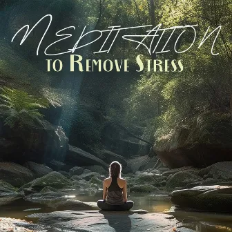 Meditation to Remove Stress: Attracting Happiness, Remove Dark Thought by Roots Of Quality