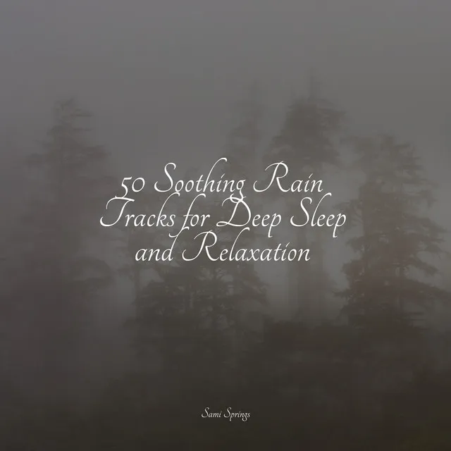 50 Natural Rain Sounds