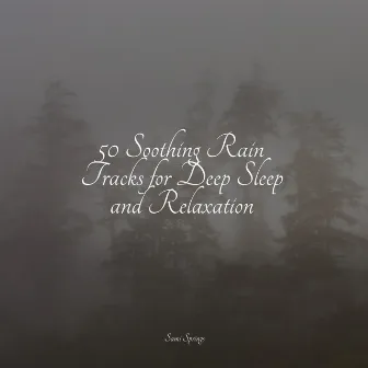 50 Natural Rain Sounds by Sleepy Night Music