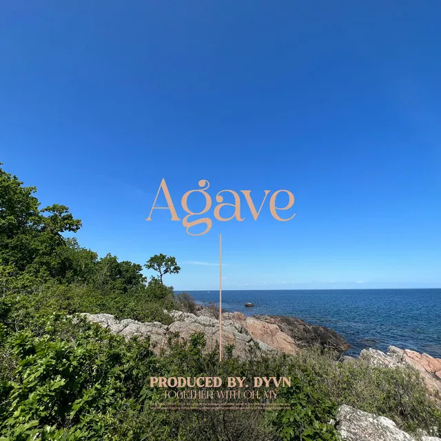 Agave