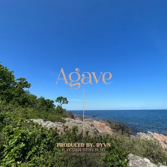 Agave by Oh, My.