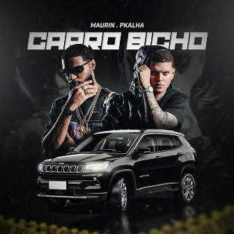 Carro Bicho by Pkalha