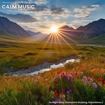 Calm Music for Night Sleep, Relaxation, Studying, Disturbance 2 by Sleeping Music for Babies