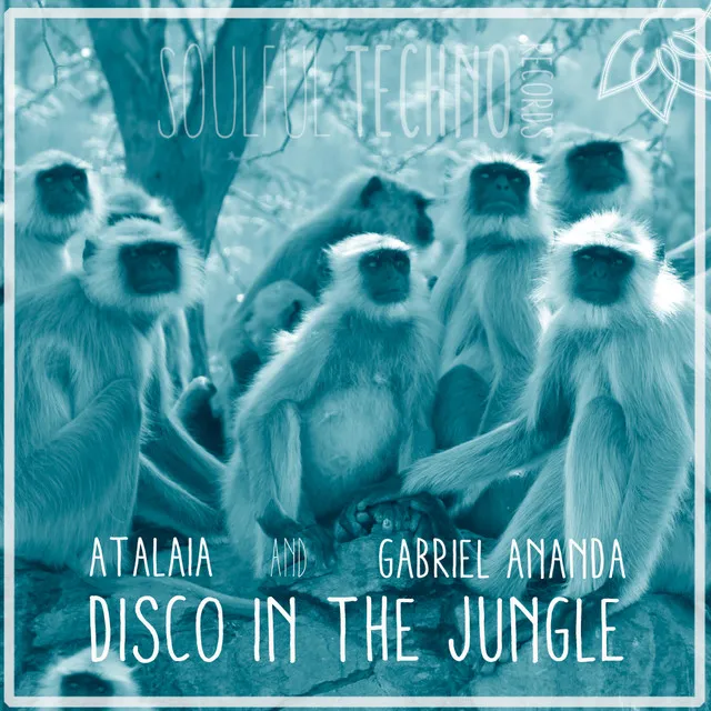 Disco In The Jungle