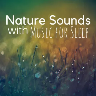 Nature Sounds with Music for Sleep, Focusing, Relaxing, Sounds of Nature Mountains, Water, Forest by Liquid Sleep Music Club