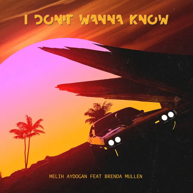 I Don't Wanna Know (feat. Brenda Mullen)