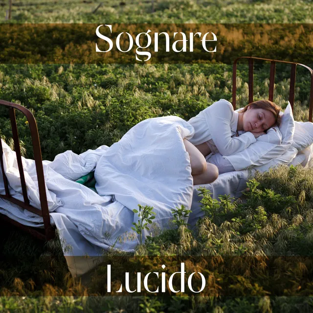 Sognare Lucido: Viaggio Astrale, Meditazione del Sonno, Allineamento dei Chakra