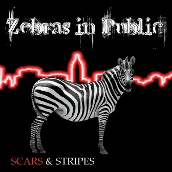 Scars & Stripes by Zebras in Public