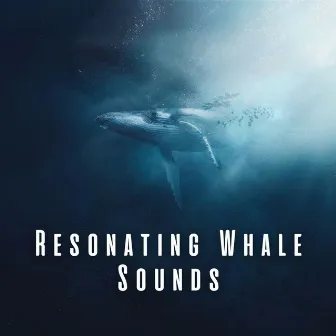 Resonating Whale Sounds by Sound and Waves