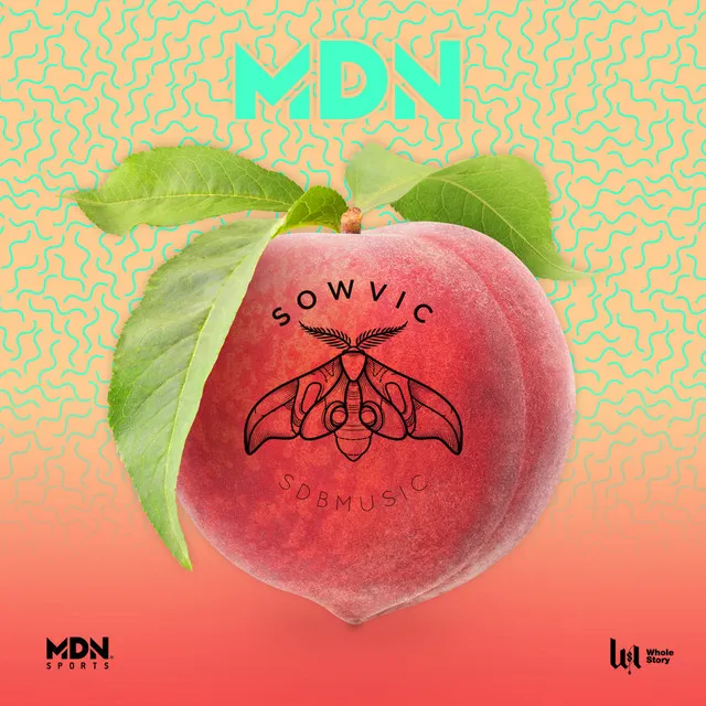 MDN