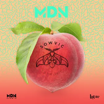 MDN by Sowvic