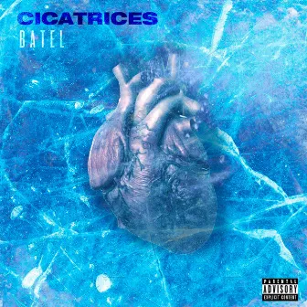 Cicatrices by Unknown Artist