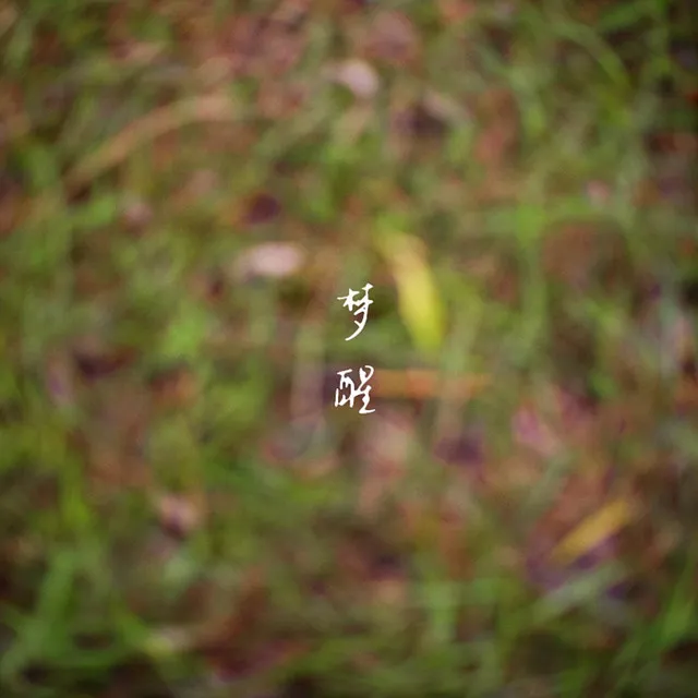 花谢叶落梦醒时