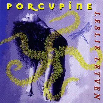 Porcupine by Leslie Bixler