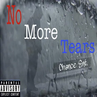 No More Tears by Sylince