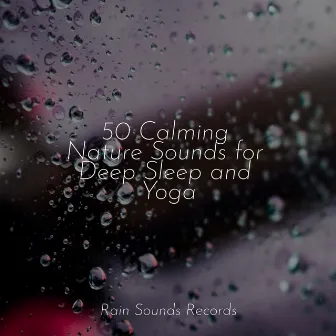 50 Calming Nature Sounds for Deep Sleep and Yoga by Sons da natureza HD