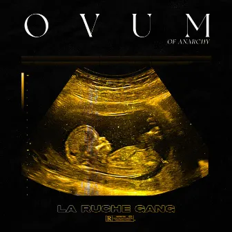 OVUM of Anarchy by La Ruche Gang