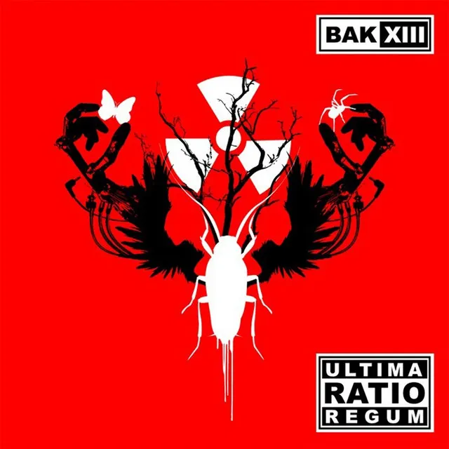 Ultima Ratio Regum