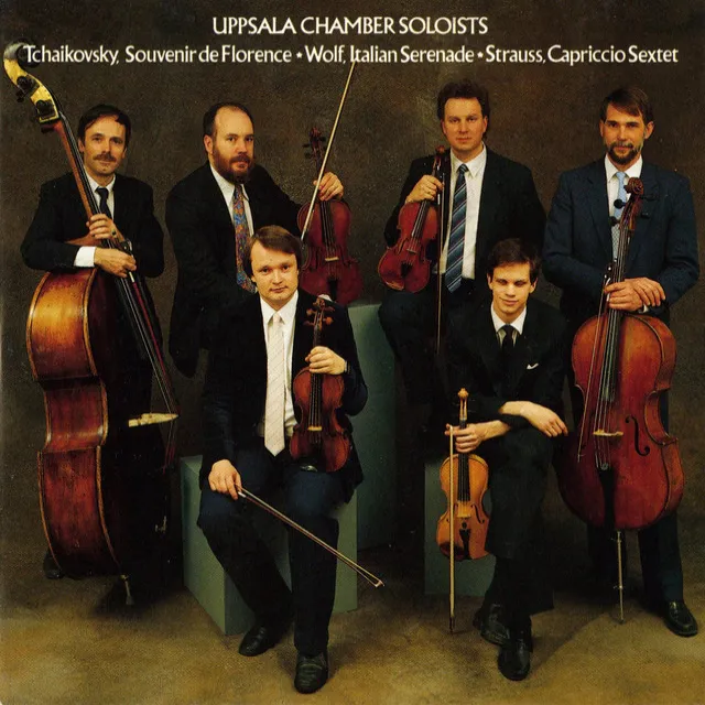 Capriccio, Op. 85: String Sextet, TrV 279a: String Sextet, Op. 85, TrV 279a