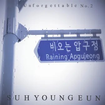 Unforgettable No.2 by Suh Young Eun