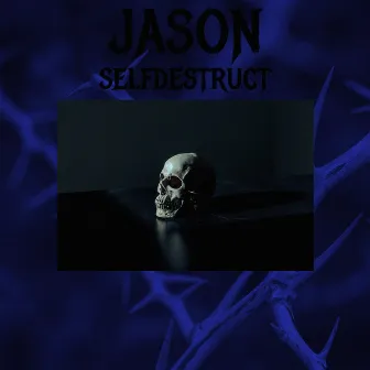 selfdestruct by Jason