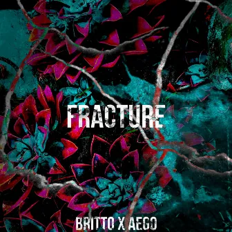 Fracture by Britto