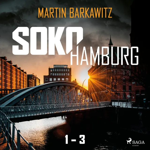 Kapitel 1.1 - Soko Hamburg 1-3