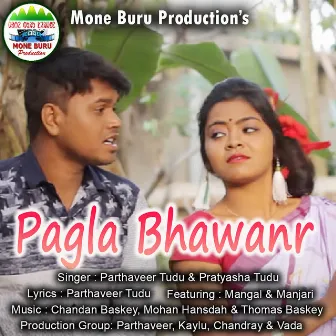 Pagla Bhawanr by Parthaveer Tudu