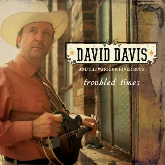 Troubled Times by David Davis