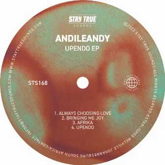 UPENDO - EP by AndileAndy