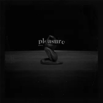 Pleasure by CJ Flemings