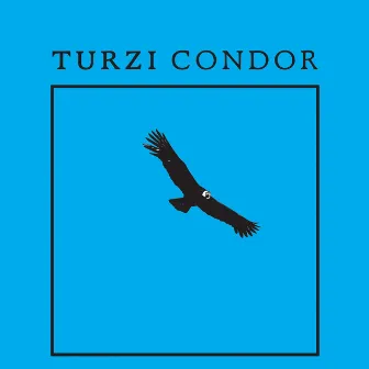 Condor by Turzi