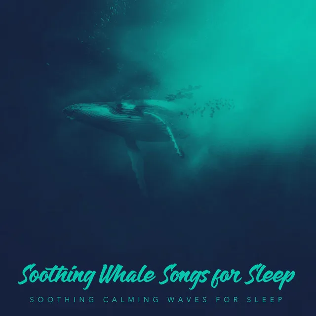 Soothing Whale Songs for Sleep