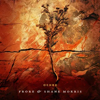 From Spark to Flame by Frore