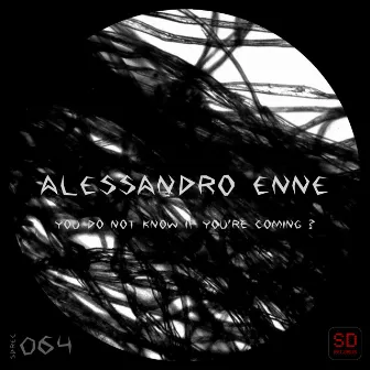 You Do Not Know If You're Coming by Alessandro Enne