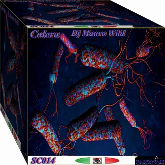 Colera by Dj Mauro Wild