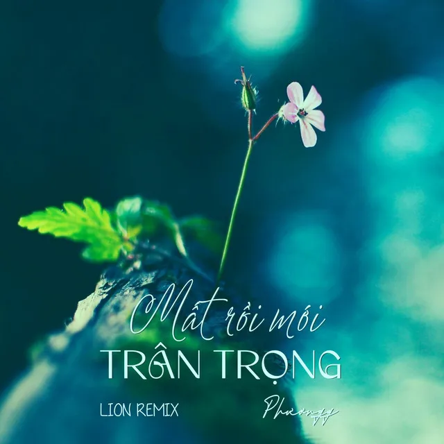 Mất Rồi Mới Trân Trọng - Lion Remix