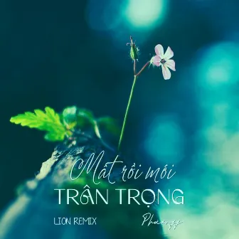 Mất Rồi Mới Trân Trọng (Lion Remix) by Phươngg